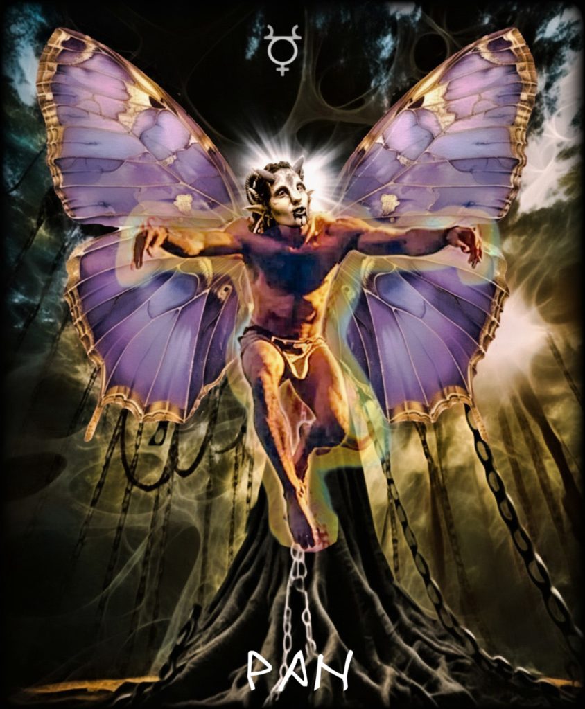 imageedit_5191_8110946650